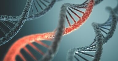DNA – Wie waren mijn voorouders en waar kwamen zij vandaan?