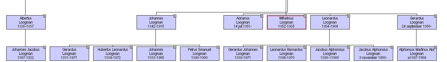 Willem Loogman, pauselijk zoeaaf