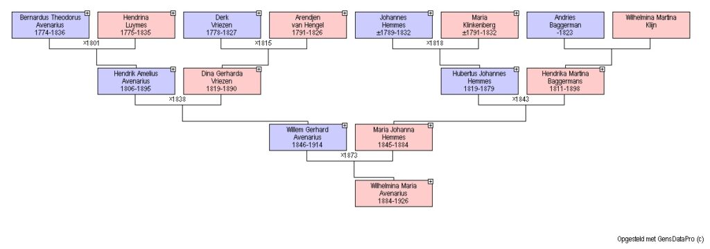 genealogisch onderzoek presenteren als een kwartierstaat