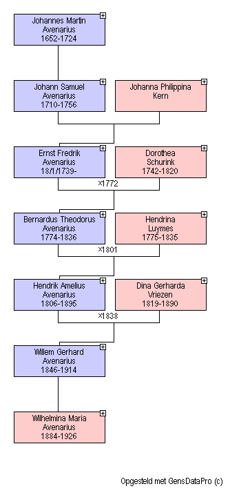 genealogisch onderzoek presenteren als een stamreeks