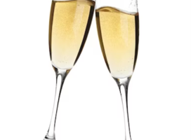 Nieuwjaarsbijeenkomst 2024