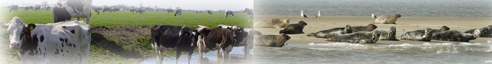 Cursus Stamboomonderzoek voor beginners